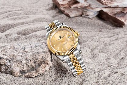 2025 New PAGANI DESIGN Date Men's Mechanical Watches Top Brand Luxury Automatic Wrist Watch Men NH35A Movement 100M Waterproof